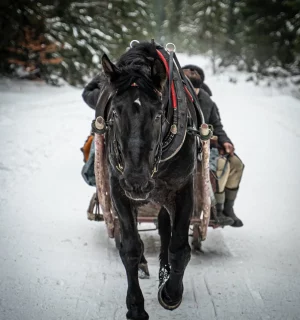 kulig-zakopane-dolina-chocholowska