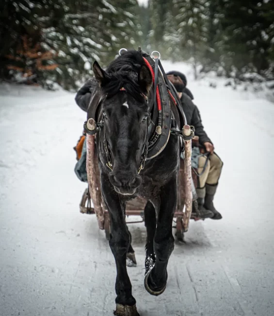 kulig-zakopane-dolina-chocholowska