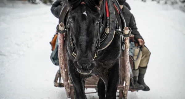 kulig-zakopane-dolina-chocholowska