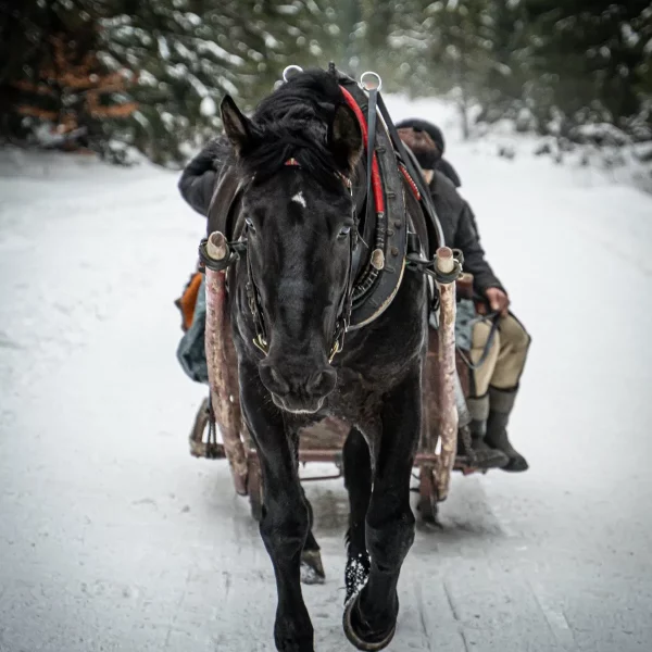kulig-zakopane-dolina-chocholowska